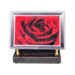 Plaque funéraire en plexiglass forme rectangle rose rouge (19x13cm)