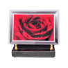 Plaque funéraire en plexiglass forme rectangle rose rouge (19x13cm)