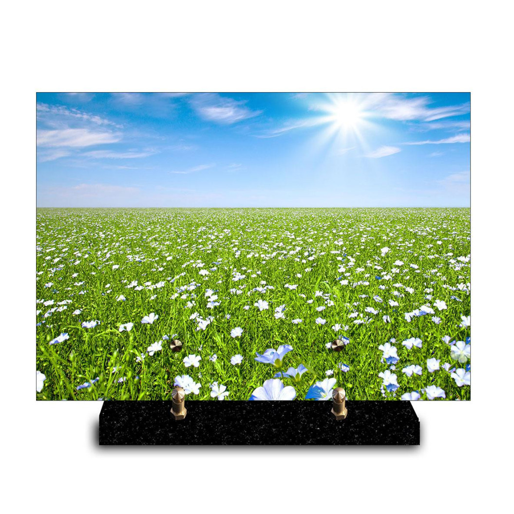 Plaque funéraire rectangle Nature avec Champ de lin en fleurs (29x21cm)