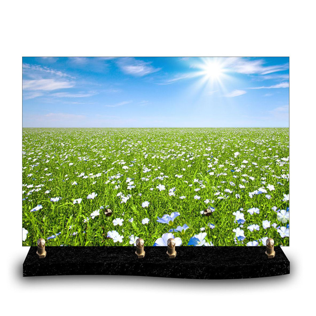 Plaque funéraire rectangle Nature avec Champ de lin en fleurs (34x24cm)