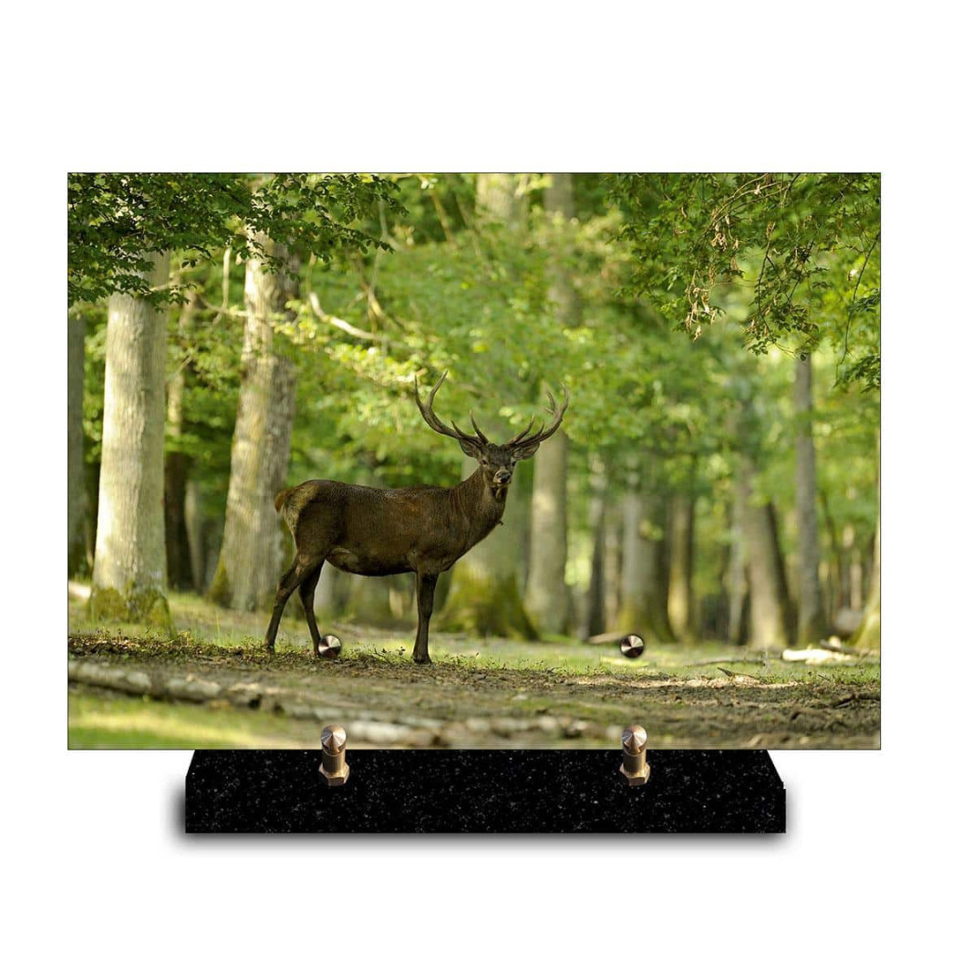 Plaque funéraire rectangle Nature Cerf  (29x21cm)