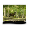 Plaque funéraire rectangle Nature Cerf (34x24cm)
