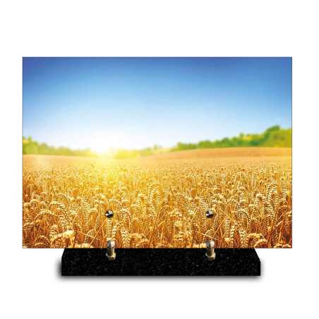 Plaque funéraire rectangle Nature champ de blé (29x21cm)