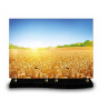 Plaque funéraire rectangle Nature champ de blé (34x24cm)