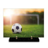 Plaque funéraire rectangle ballon de foot sur un terrain (29x21cm)