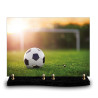 Plaque funéraire rectangle ballon de foot sur un terrain (34x24cm)