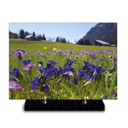 Plaque funéraire rectangle champ de fleurs à la montagne (29x21cm)