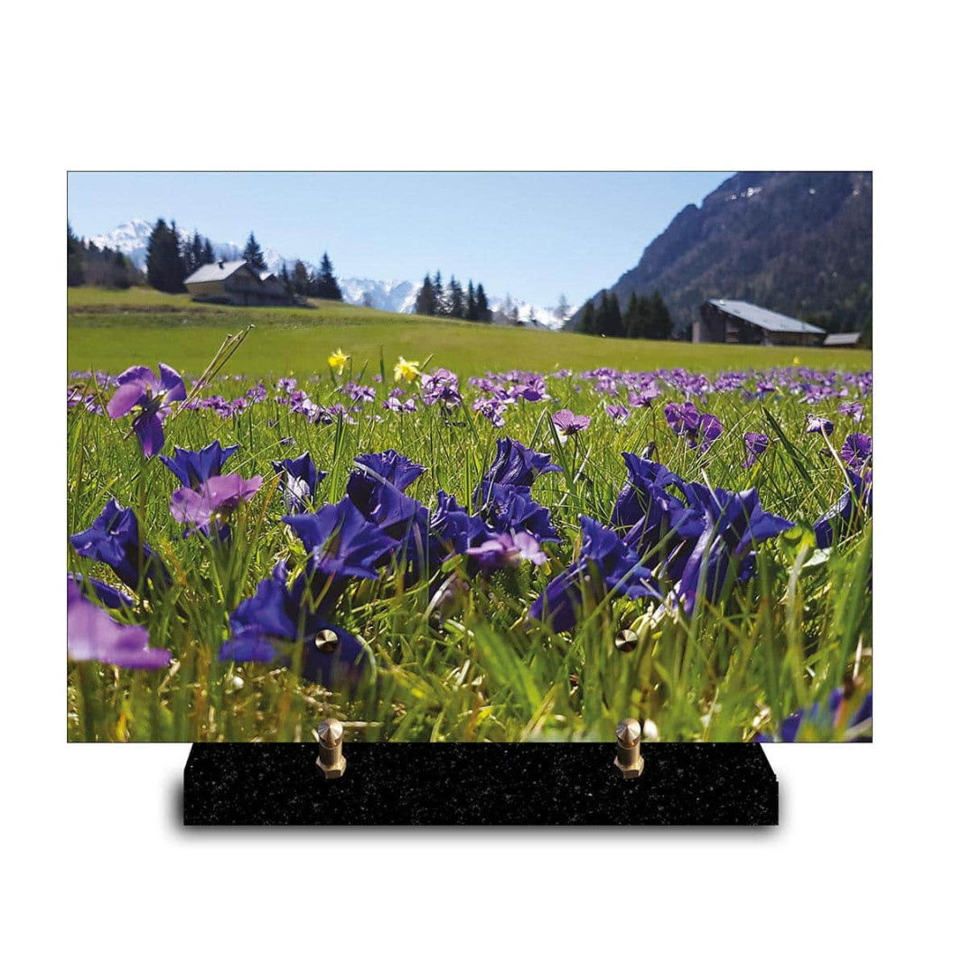 Plaque funéraire rectangle champ de fleurs à la montagne (29x21cm)