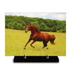 Plaque funéraire rectangle cheval brun galopant dans un herbage verdoyant (29x21cm)
