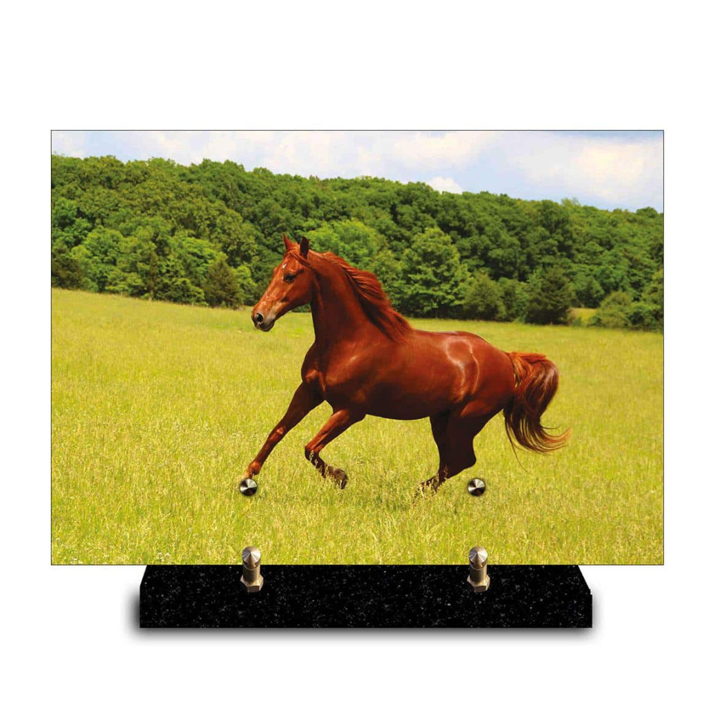 Plaque funéraire rectangle cheval brun galopant dans un herbage verdoyant (29x21cm)