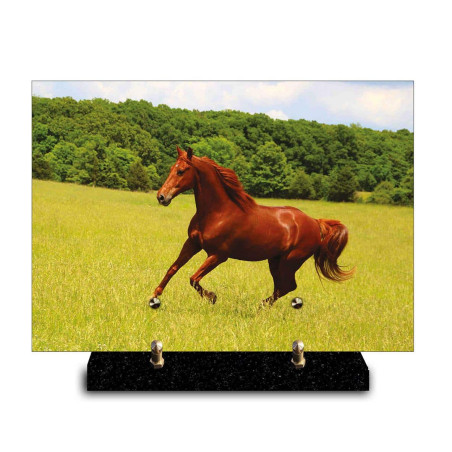 Plaque funéraire rectangle cheval brun galopant dans un herbage verdoyant (29x21cm)