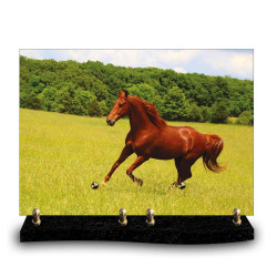 Plaque funéraire rectangle cheval brun galopant dans un herbage verdoyant (34×24cm)