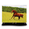 Plaque funéraire rectangle cheval brun galopant dans un herbage verdoyant (34×24cm)