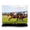 Plaque funéraire rectangle course hippique (34x24cm)