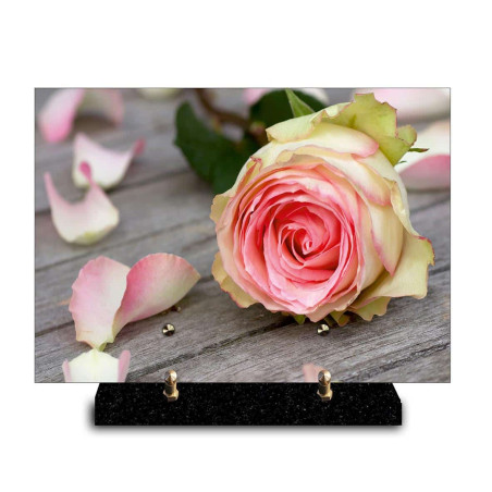 Plaque funéraire rectangle rose blanche et rose (29x21cm)