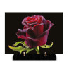 Plaque funéraire rectangle rose rouge humide sur un fond noir (29x21cm)