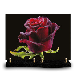 Plaque funéraire rectangle rose rouge humide sur un fond noir (34x24cm)