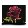 Plaque funéraire rectangle rose rouge humide sur un fond noir (34x24cm)