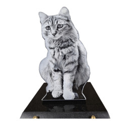 Plaque Funéraire en granit Chat