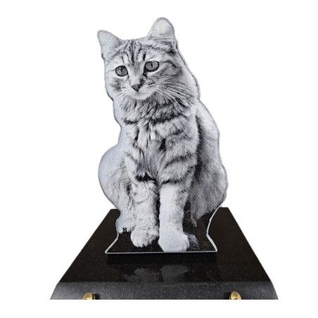 Plaque Funéraire en granit Chat