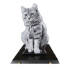 Plaque Funéraire en granit Chat