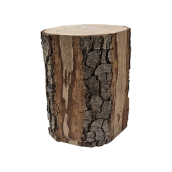 Urne cinéraire écologique en bois