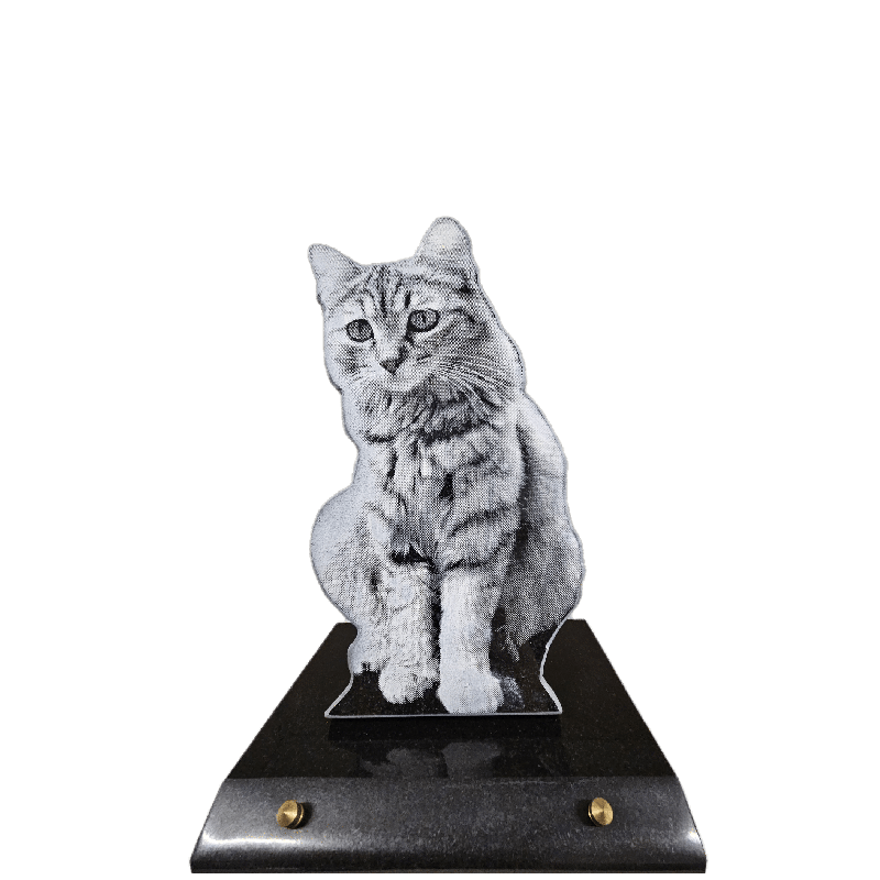Plaque Funéraire en granit Chat